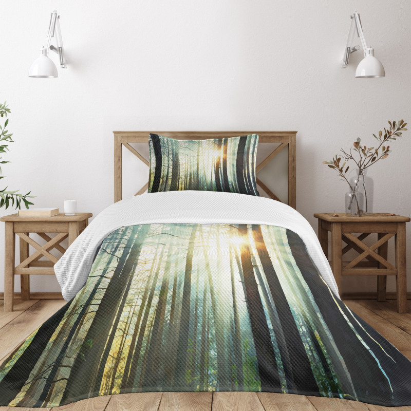 Fairy Foggy Forest Woods Bedspread Set