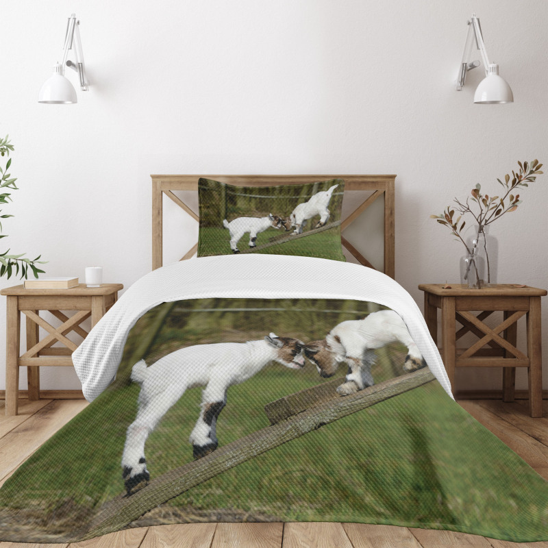 Farm Life with Goats Bedspread Set