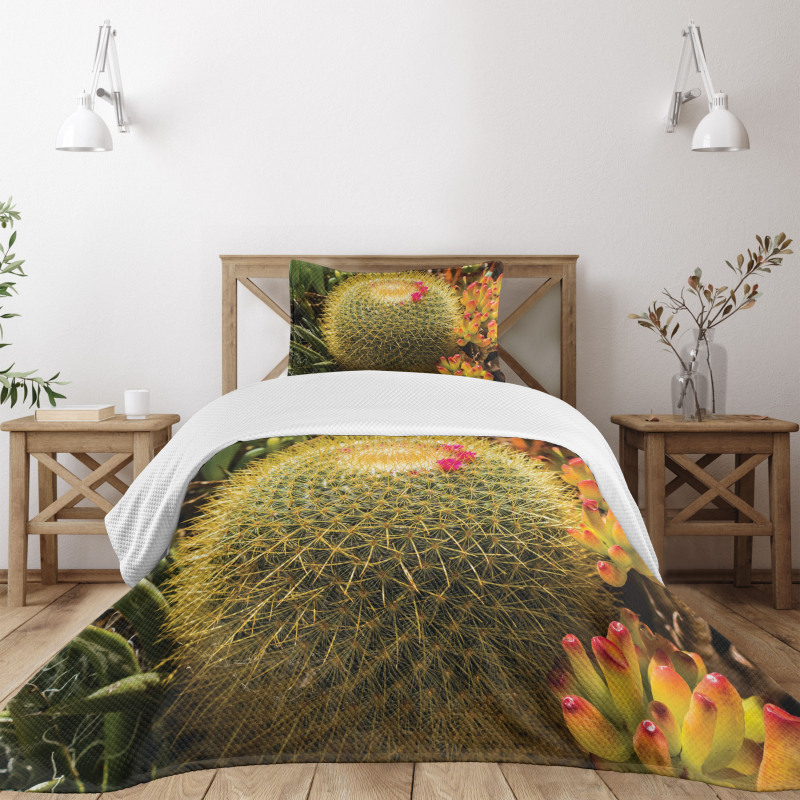 Cactus Plant with Spikes Bedspread Set