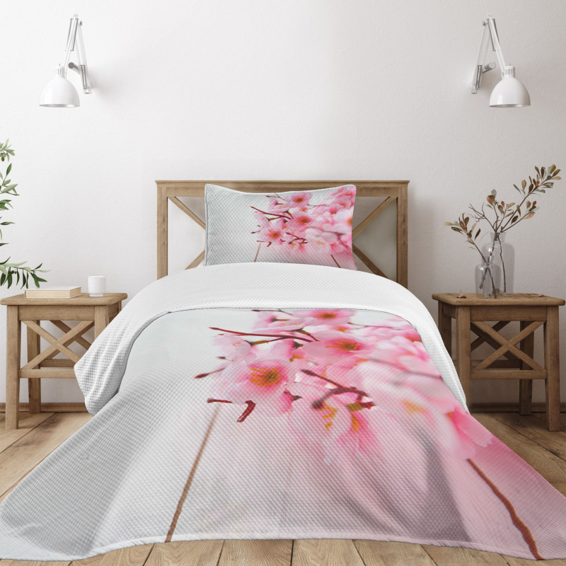 Cherry Blossom Petals Bedspread Set