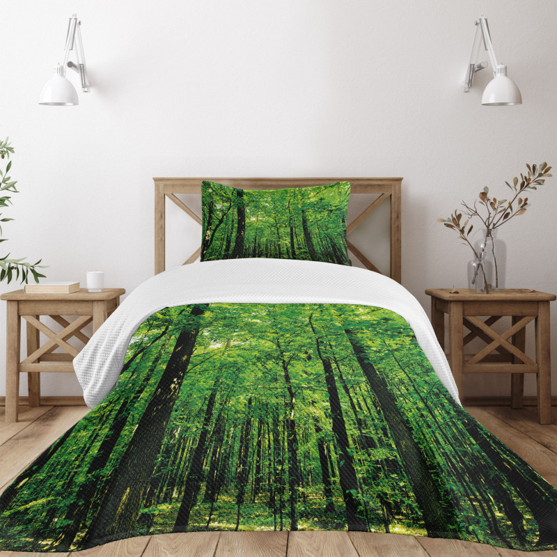Woodland Tree Forest Sun Bedspread Set