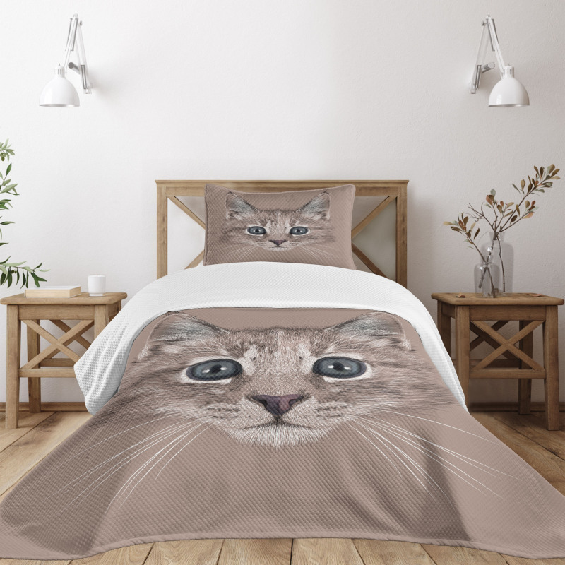 Domestic Cat Face Bedspread Set