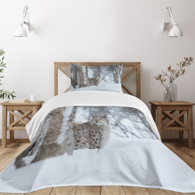 European Lynx Wilderness Bedspread Set