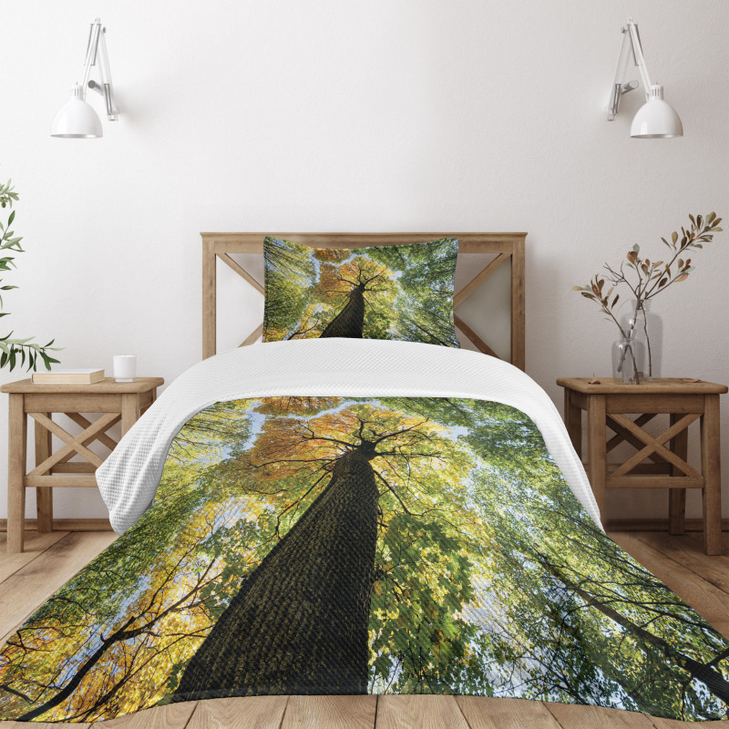 Forest Autumn Growth Eco Bedspread Set