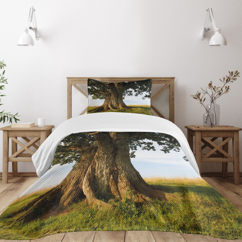 Majestic Oak Estonia Rural Bedspread Set