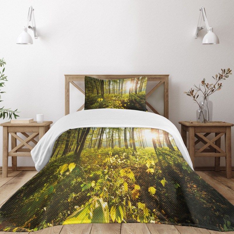 Sun Rays Woods Foliage Bedspread Set