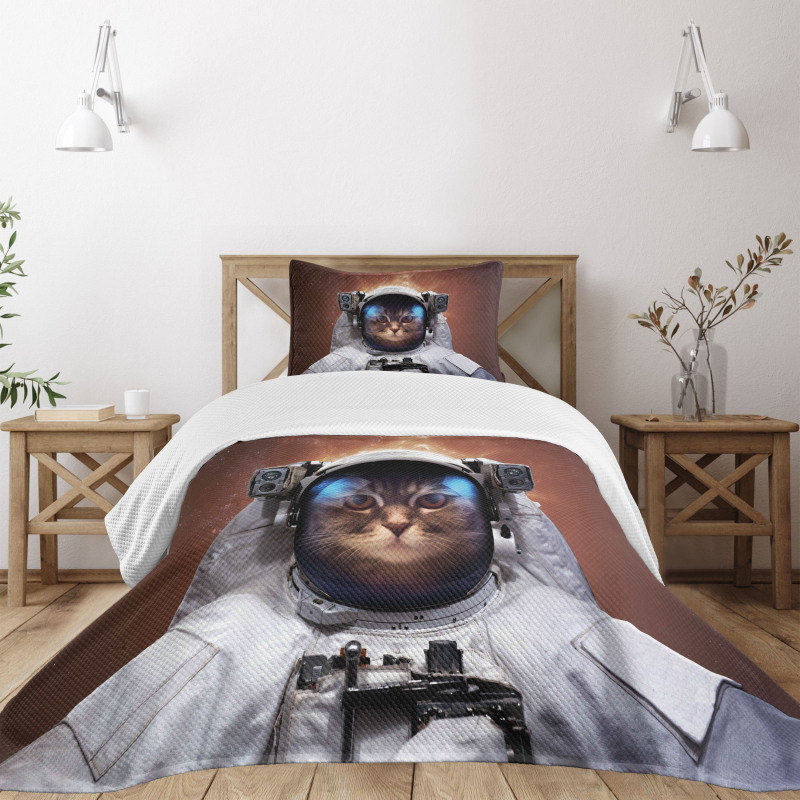 Kitten in Milkyway Bedspread Set
