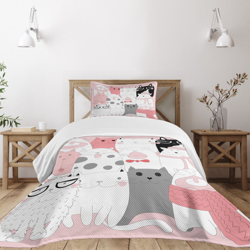 Funny Kittens Humor Doodle Bedspread Set