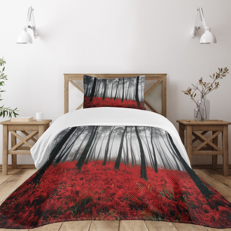 Mystical Foggy Woodland Bedspread Set