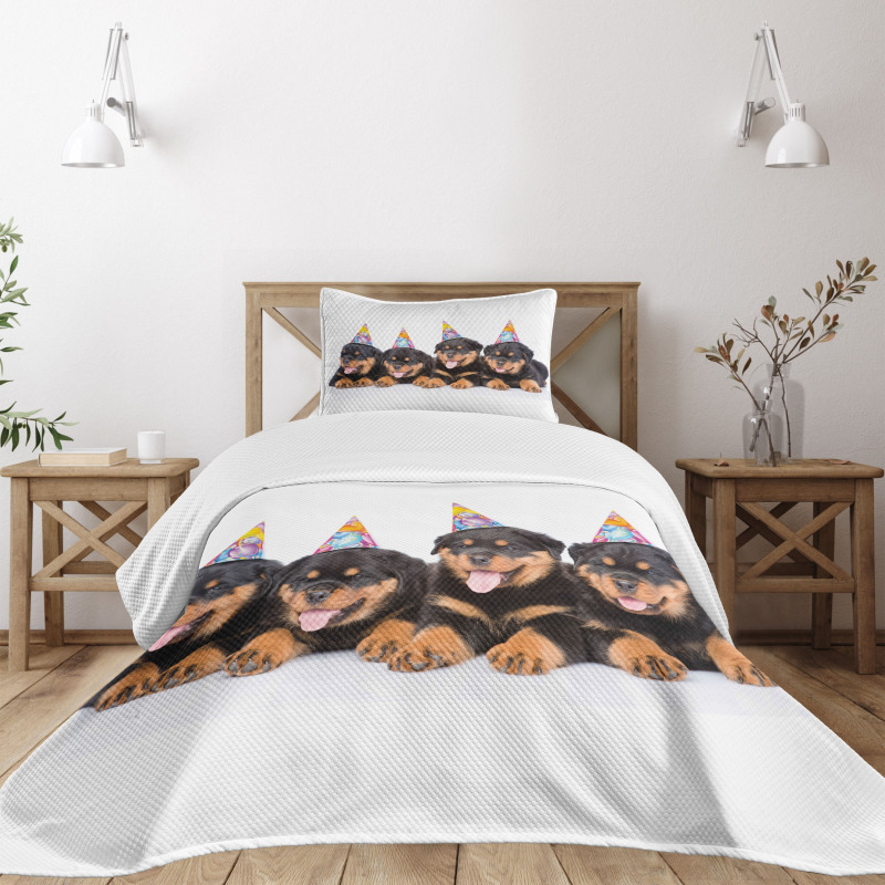 Birthday Dogs Hats Bedspread Set