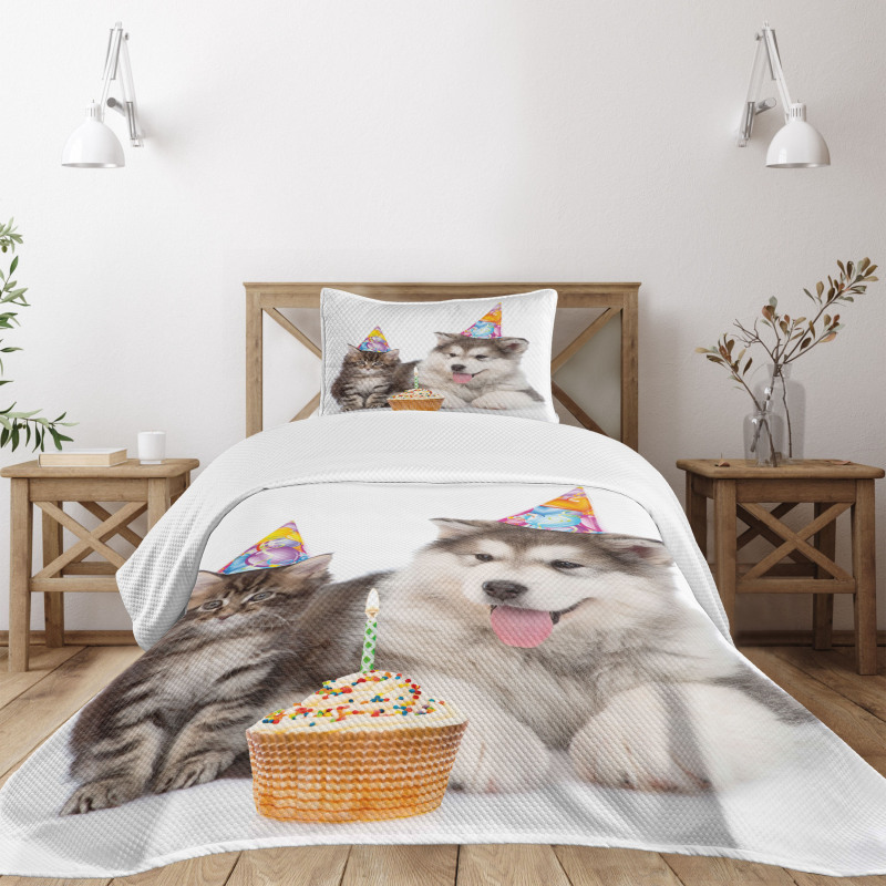 Birthday Party Cones Bedspread Set