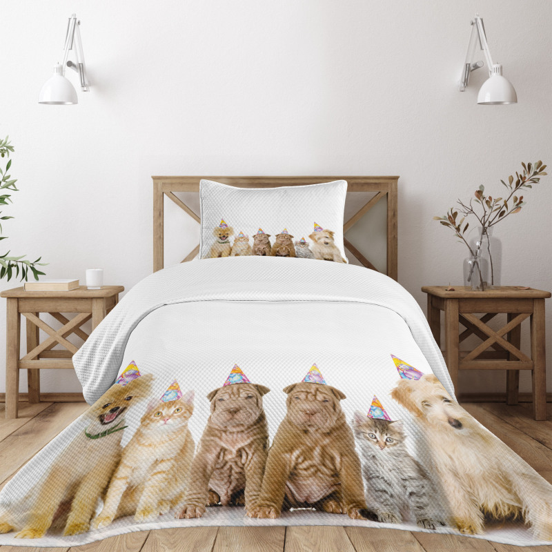 Dogs Cats at a Party Bedspread Set