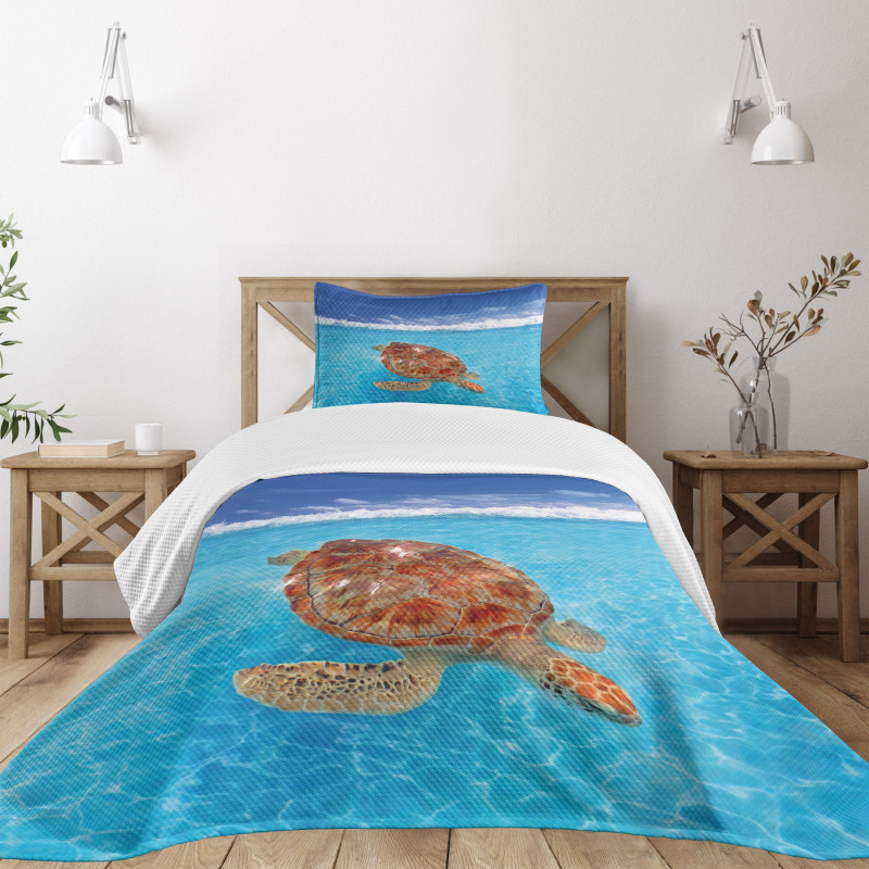 Chelonia Water Surface Bedspread Set
