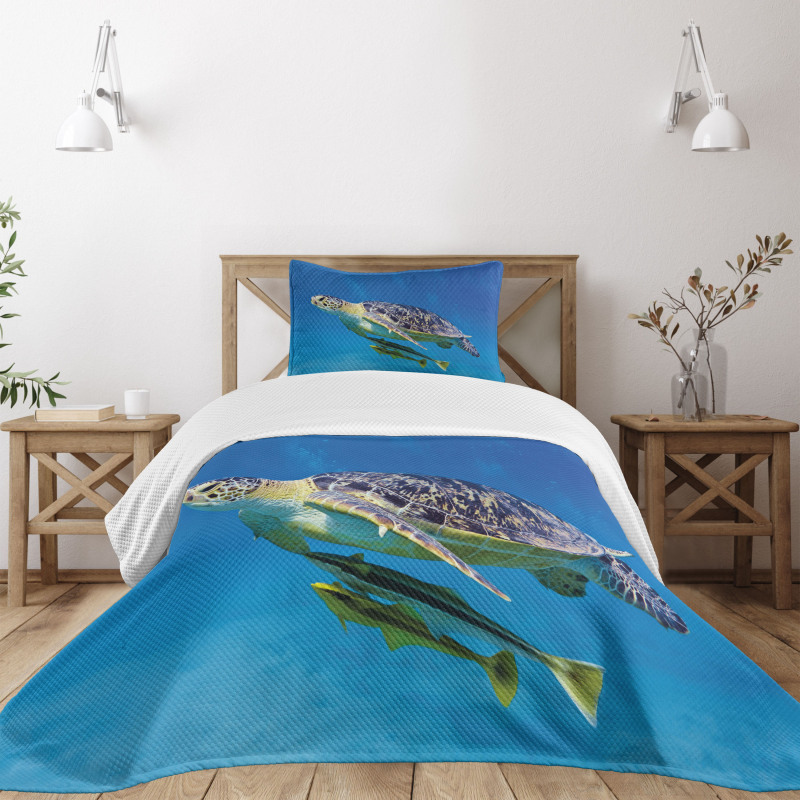 Fishes Swimming Ocean Bedspread Set