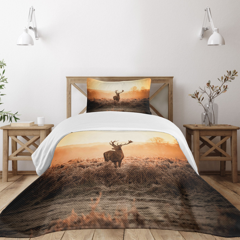 Deer Morning Sun Bedspread Set