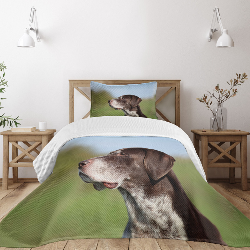 German Pointer Bedspread Set