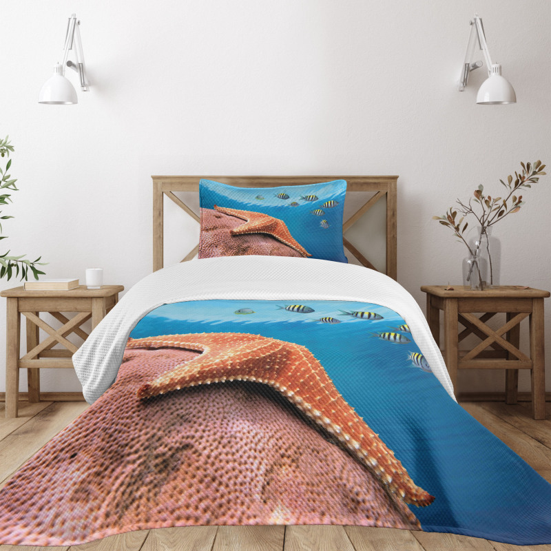 Coral Fishes Sea Bedspread Set