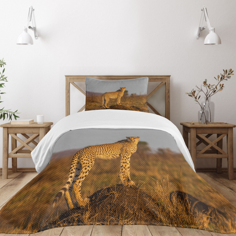 Wild Cheetah Bedspread Set