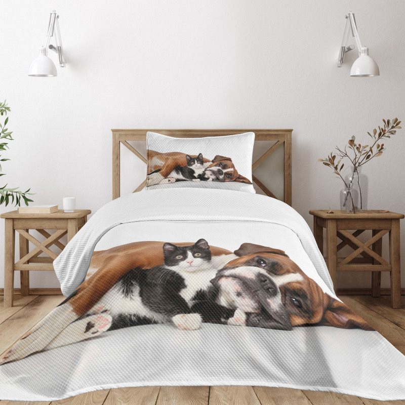 Cat Dog Friendship Bedspread Set