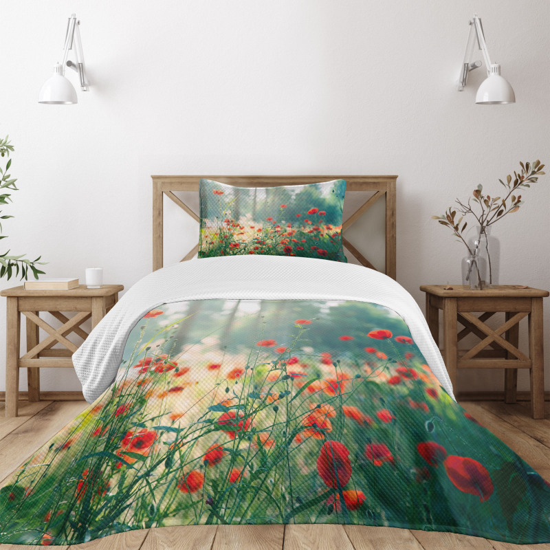 Wild Red Poppy Field Bedspread Set