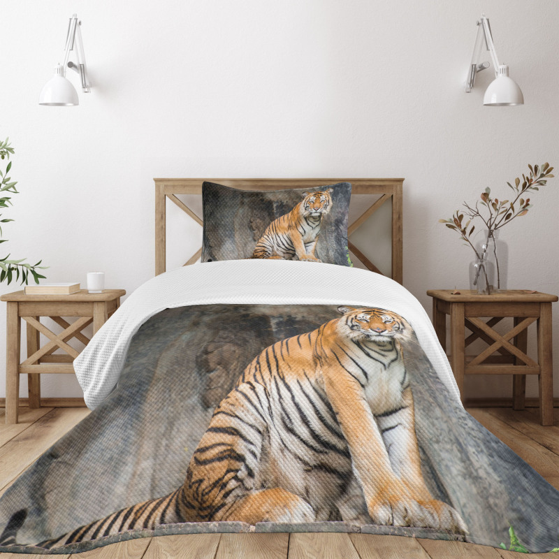 Bengal Tiger Cat Predator Bedspread Set