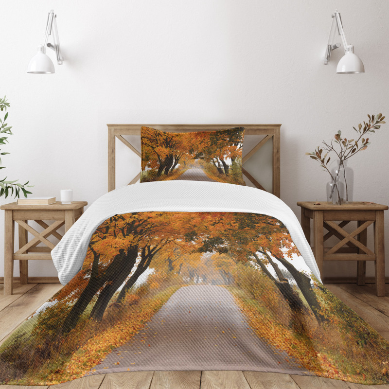 Serene Vivid Maple Trees Bedspread Set