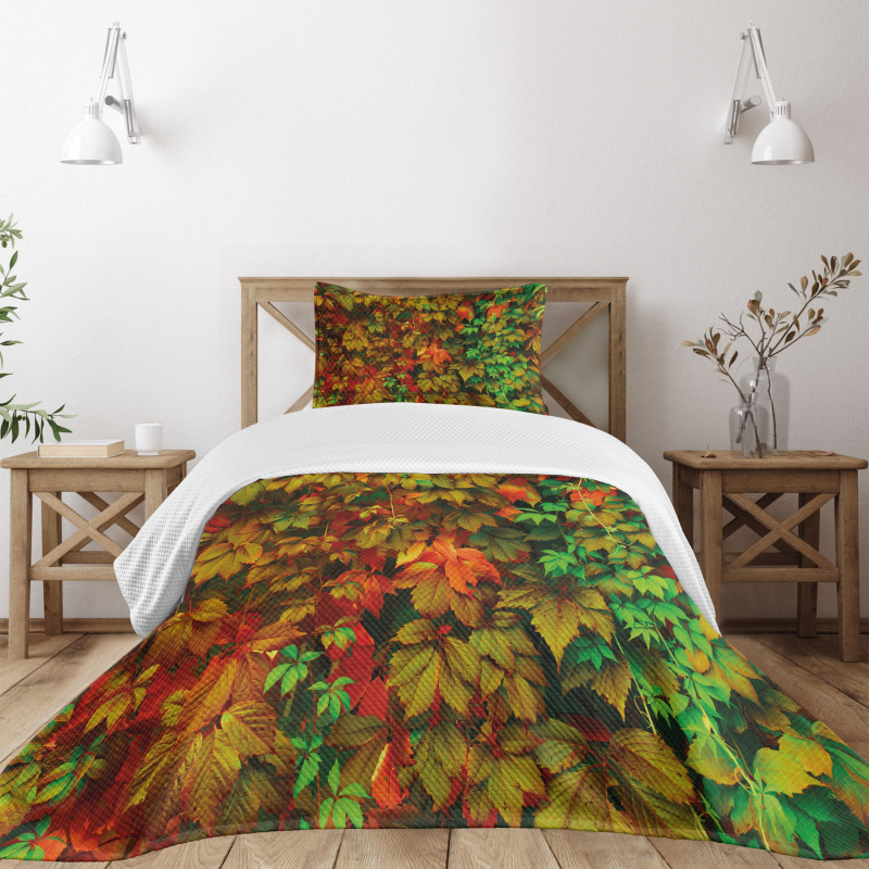 Colorful Leafage Vivid Bedspread Set