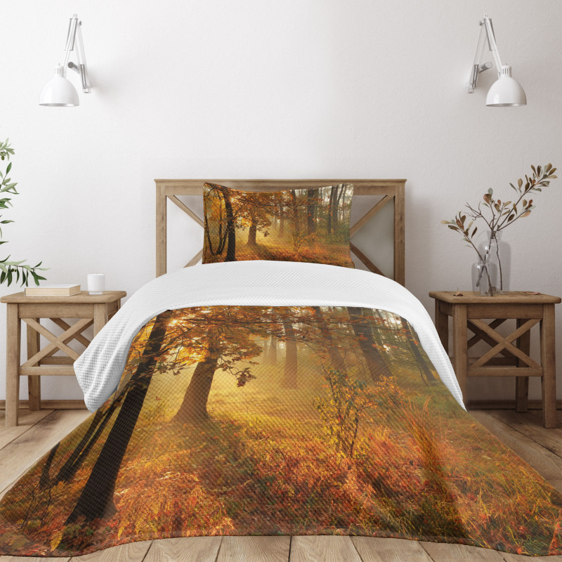 Misty Autumnal Forest Bedspread Set