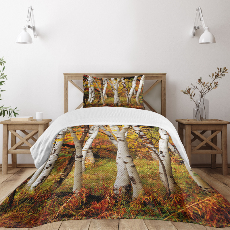 White Birch Trees Serenity Bedspread Set