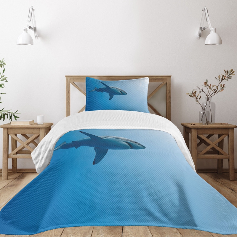 Fish in Ocean Swimming Bedspread Set