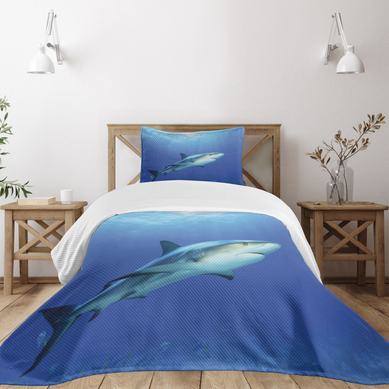 Exotic Dreamy Ocean Life Bedspread Set