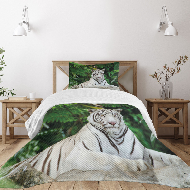 Albino Bengal Cat on Rock Bedspread Set