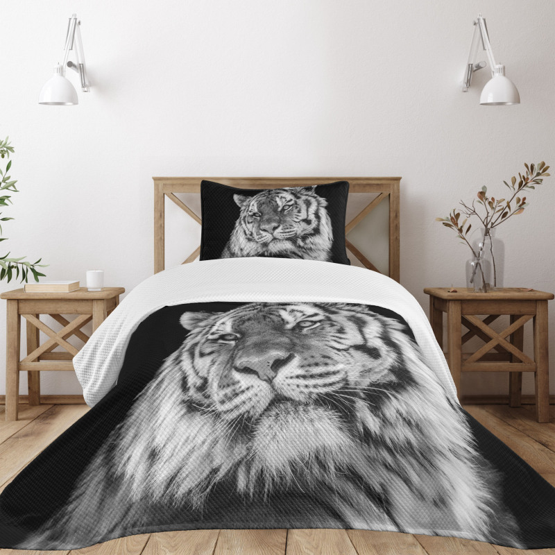 Intense Gaze of Hunter Bedspread Set