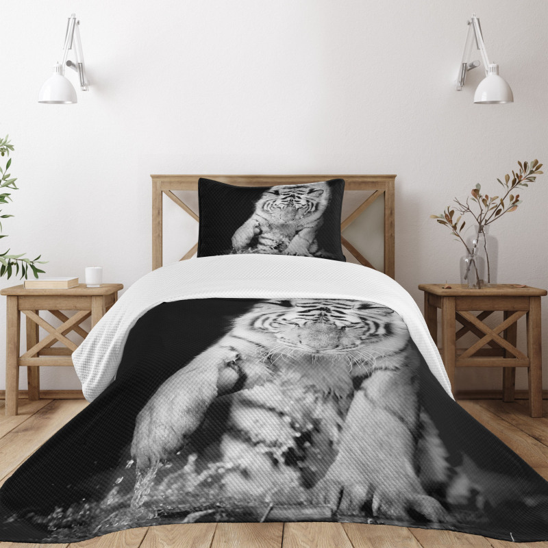 Large Cat Plays in Water Bedspread Set