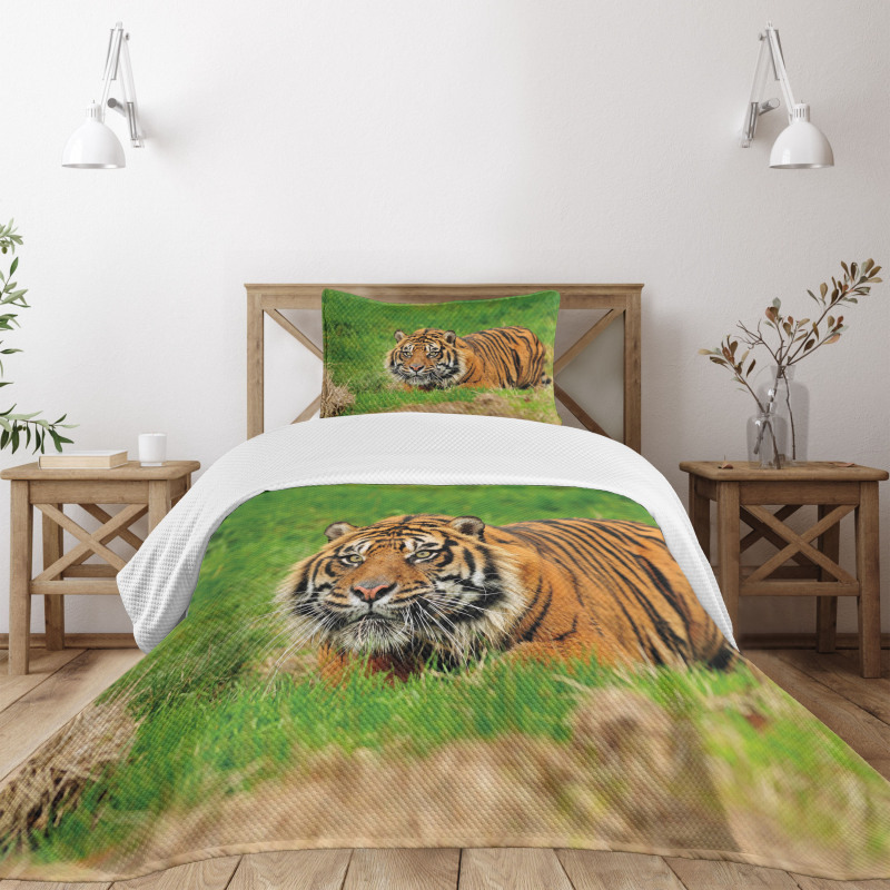 Sumatran Feline Ambush Bedspread Set