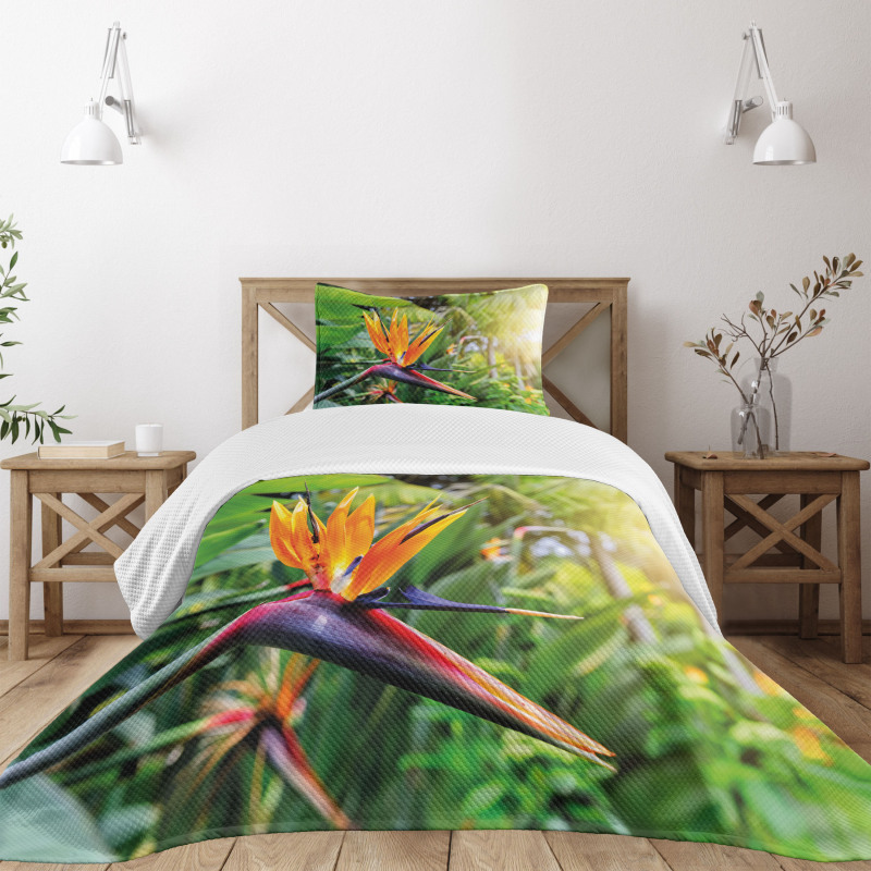 Bird of Paradise Flower Bedspread Set
