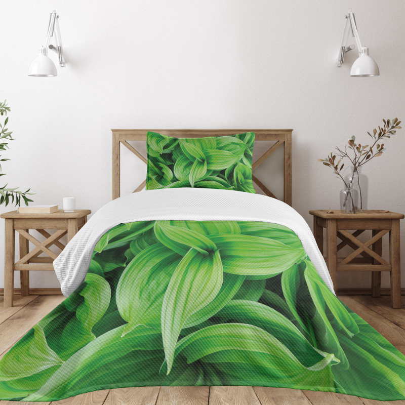 Tropic Foliage Pattern Bedspread Set