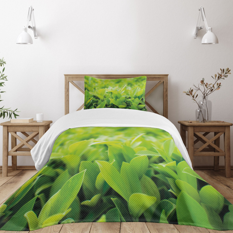 Lush Green Leaves Bedspread Set