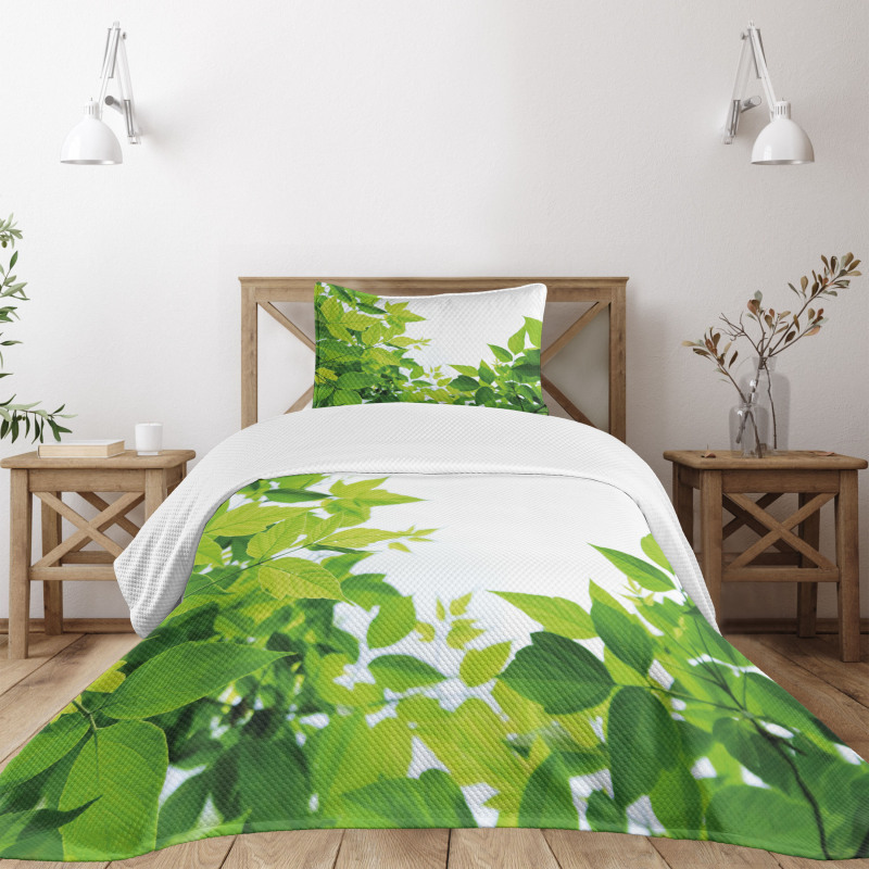 Birth of Nature Bedspread Set