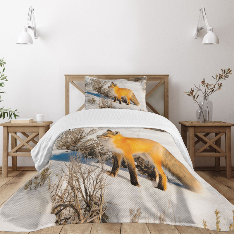 Red Fox in Snowy Nature Bedspread Set