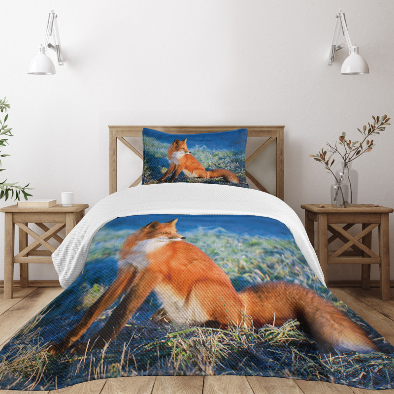 Serene Cold Autumn Field Bedspread Set