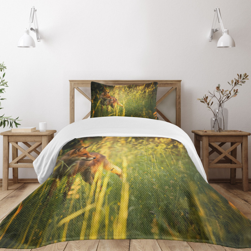 Vixen Mammal Summer Forest Bedspread Set