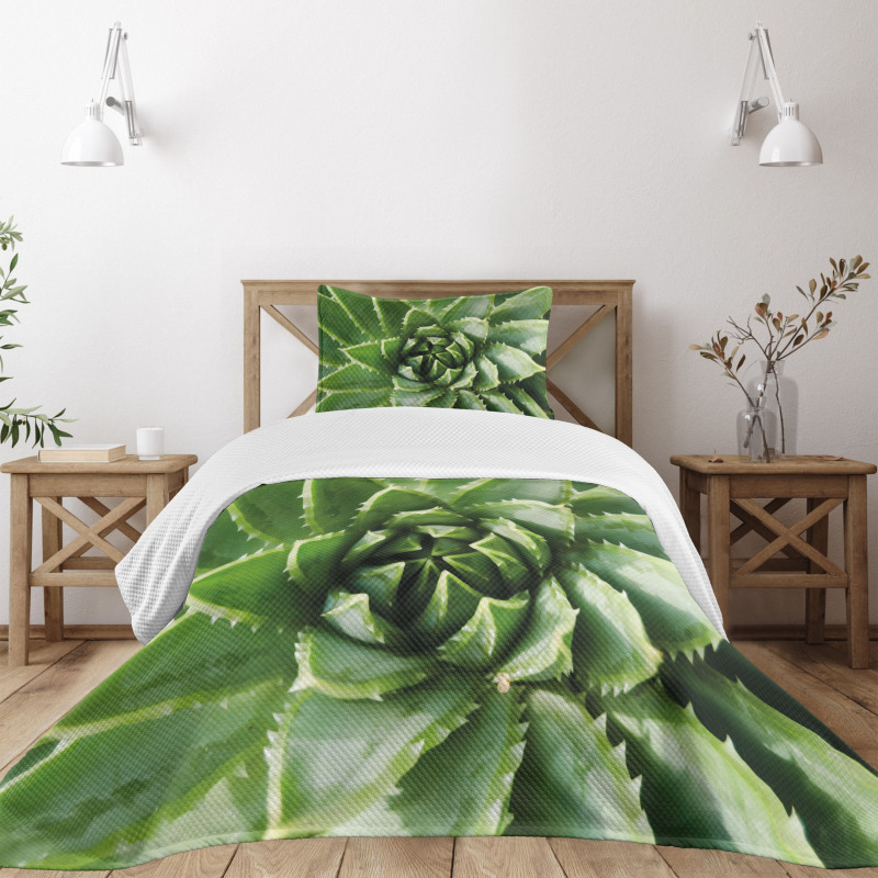 Green Leaf Exotic Mexico Bedspread Set