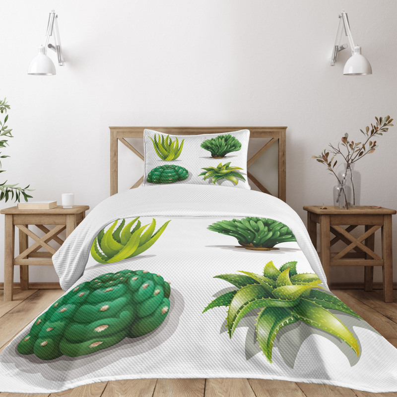 Aloe Vera Plants Cacti Bedspread Set