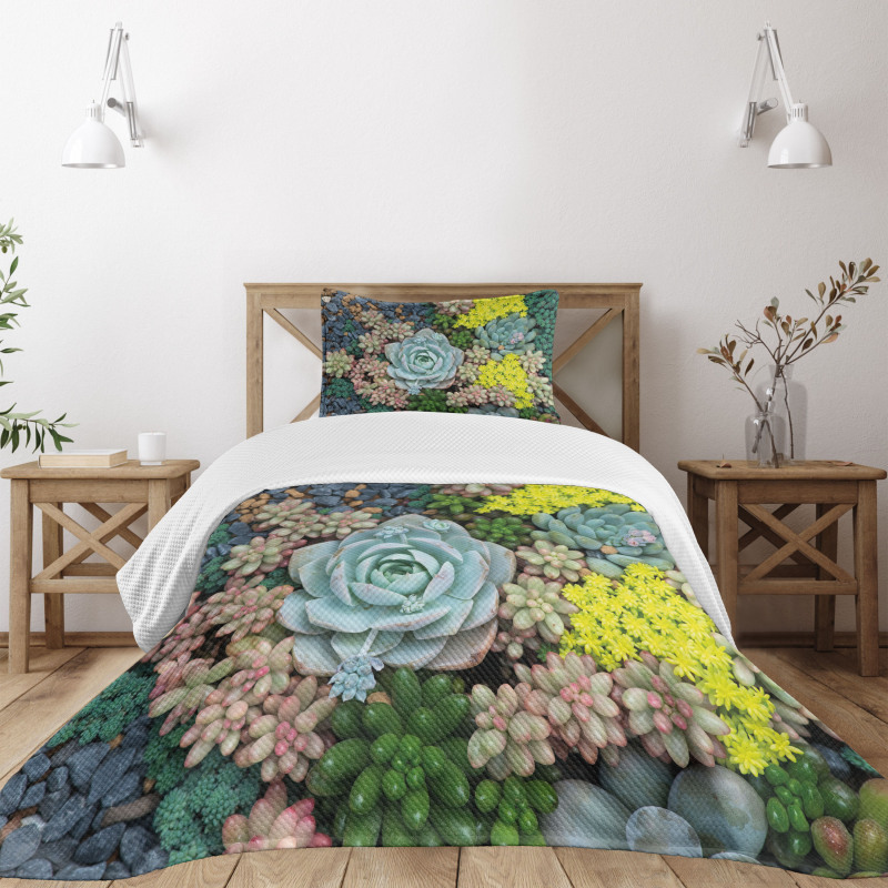 Miniature Plants Stones Bedspread Set