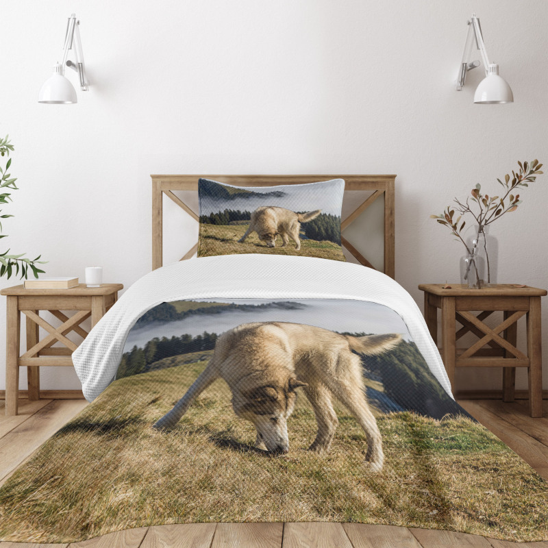 Purebred Dog Bedspread Set