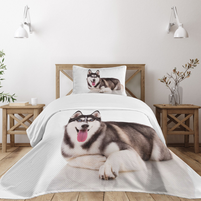 Funny Siberian Bedspread Set