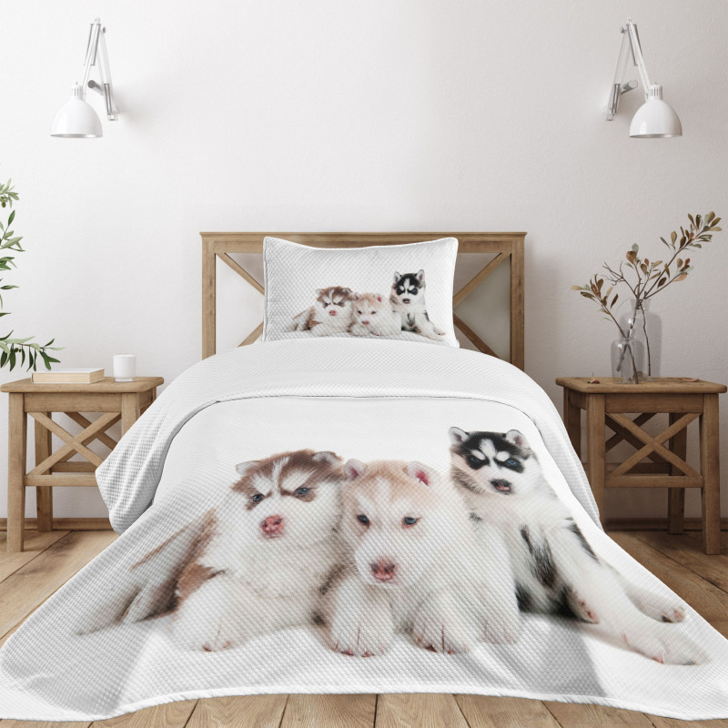 Puppy Friends Bedspread Set
