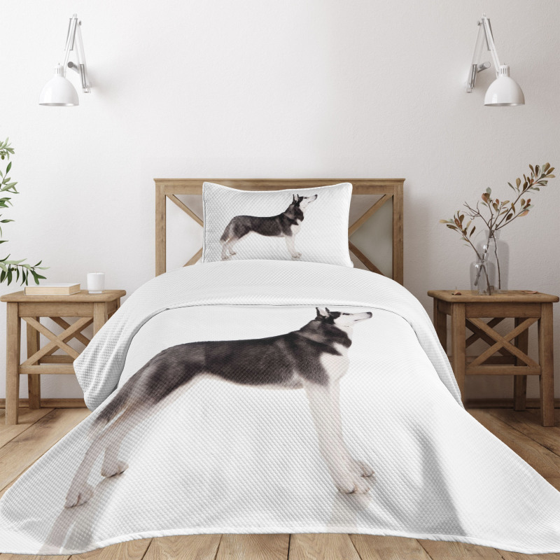 Arctic Animal Bedspread Set