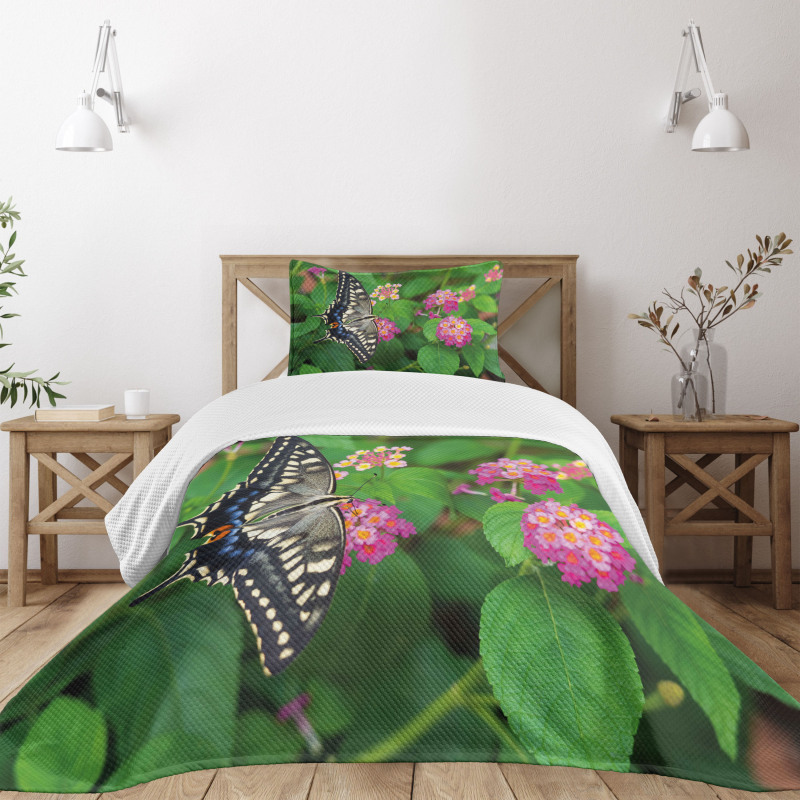 Eco Nature Bedspread Set